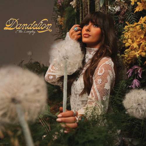 Ella Langley's Dandelion: A Deep Dive into Growth After Hungover